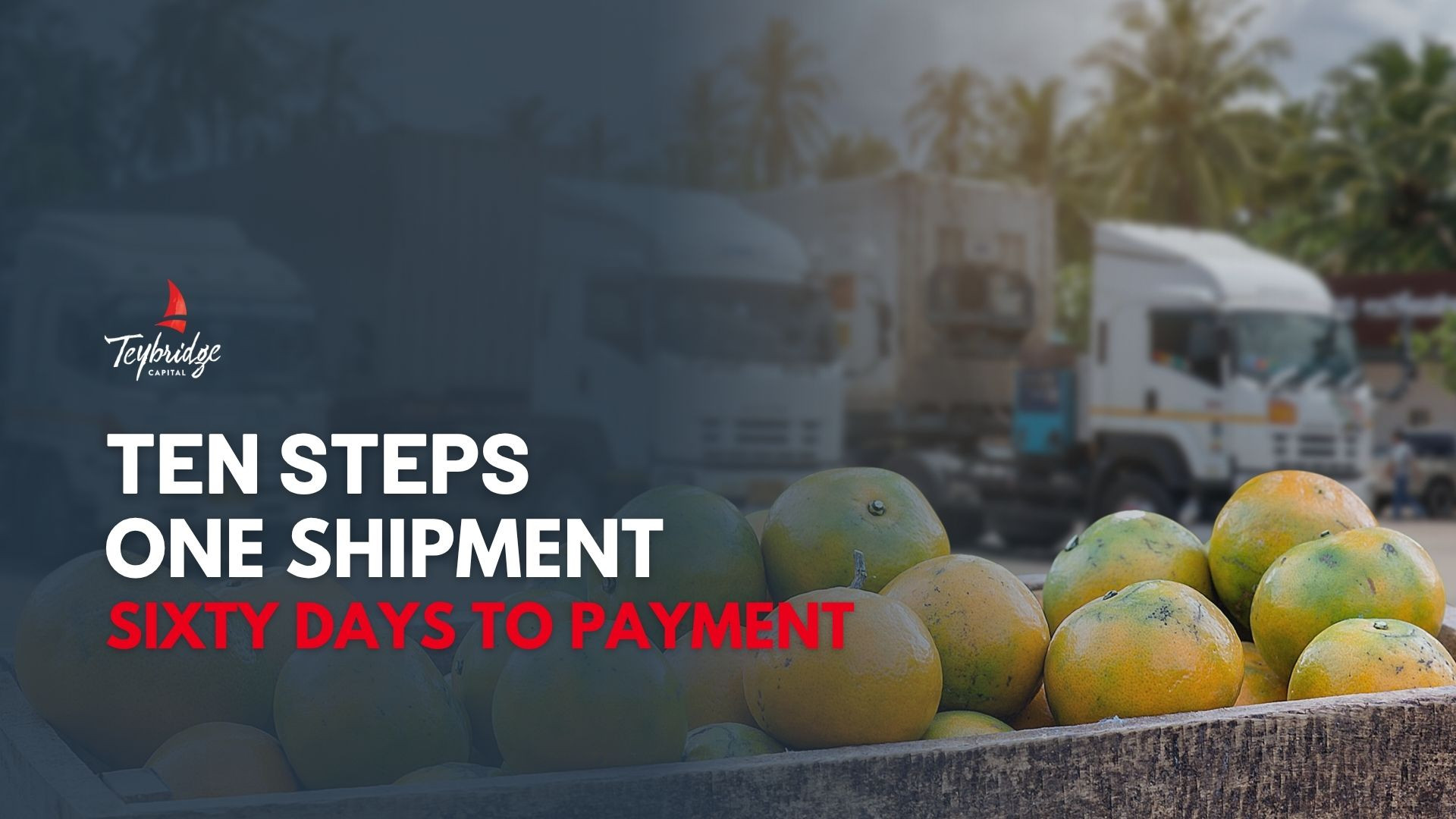 how a citrus export works